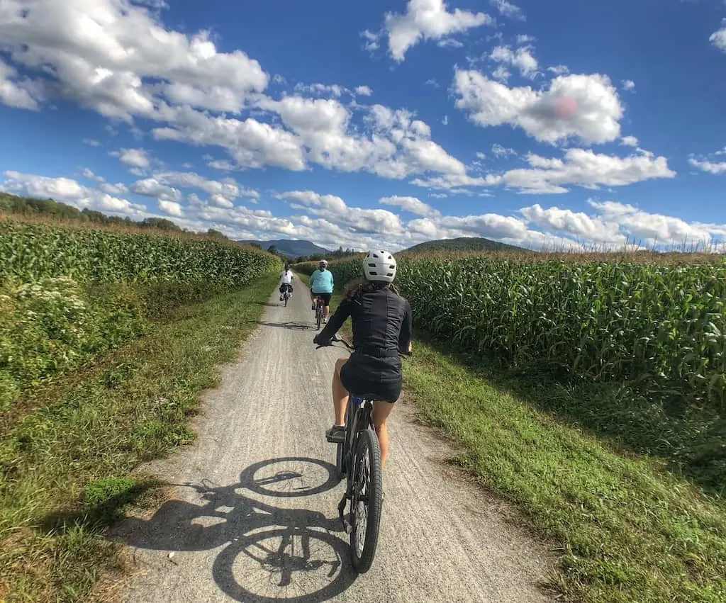 Lamoille Valley Rail Trail through cornfields in Vermont. 