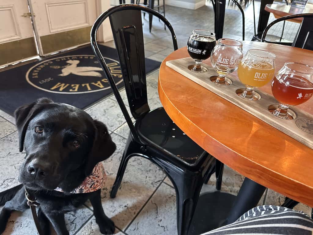 A black dog next to a flight of beers at Olde Salem Brewery in Roanoke, Virginia.