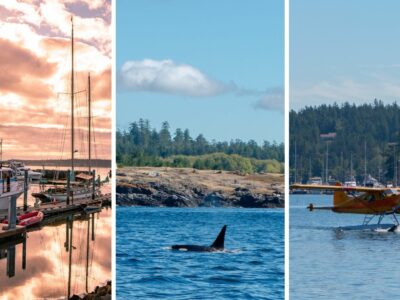 Incredible Puget Sound Whale Watching in Washington