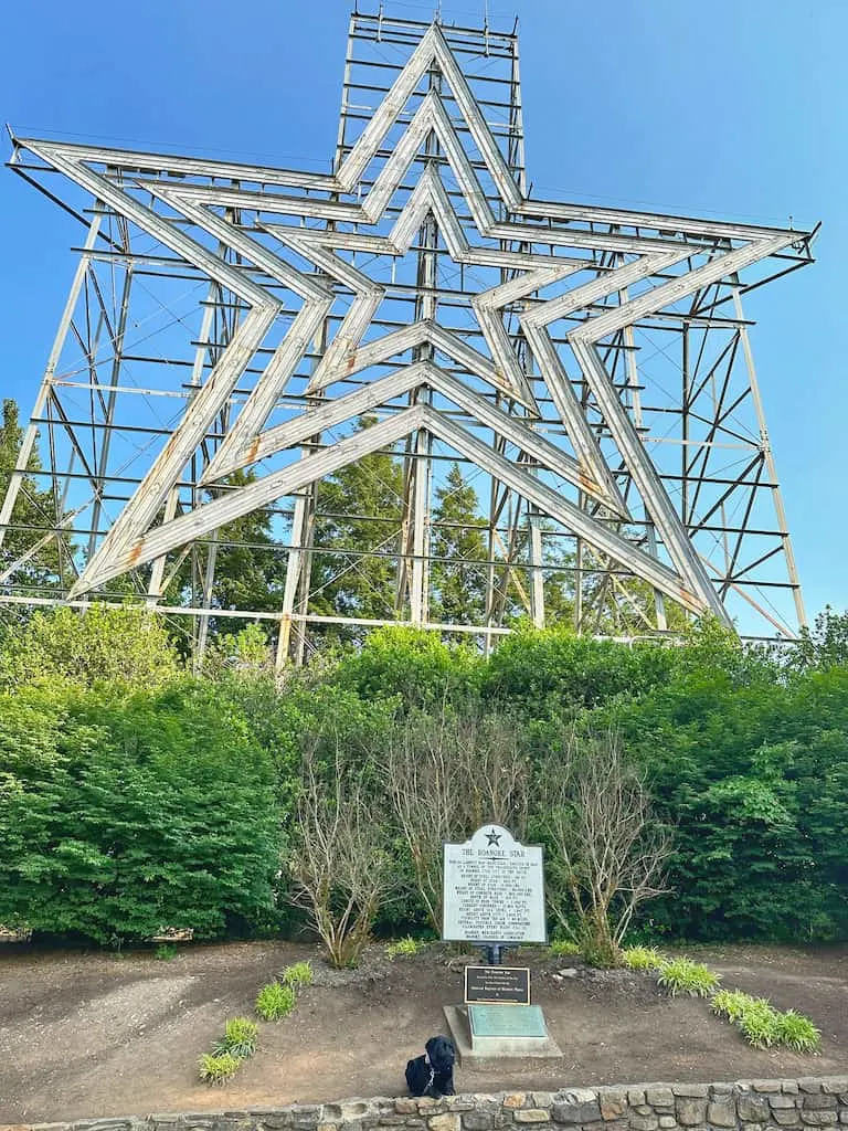 A small black lab poses in front of the huge Roanoke Star.