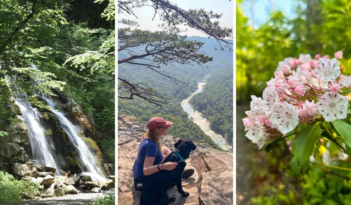 A collage featuring hikes in New River Gorge in West Virginia.