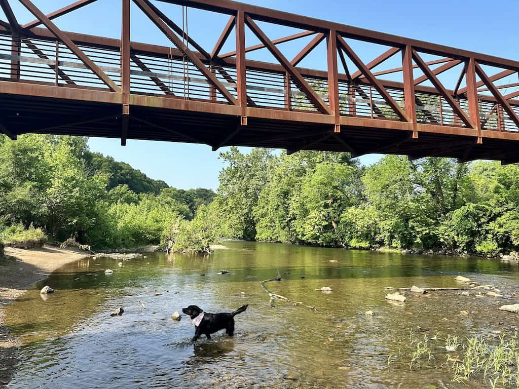 Malinda is playing in the Roanoke River near Wasena Park. 