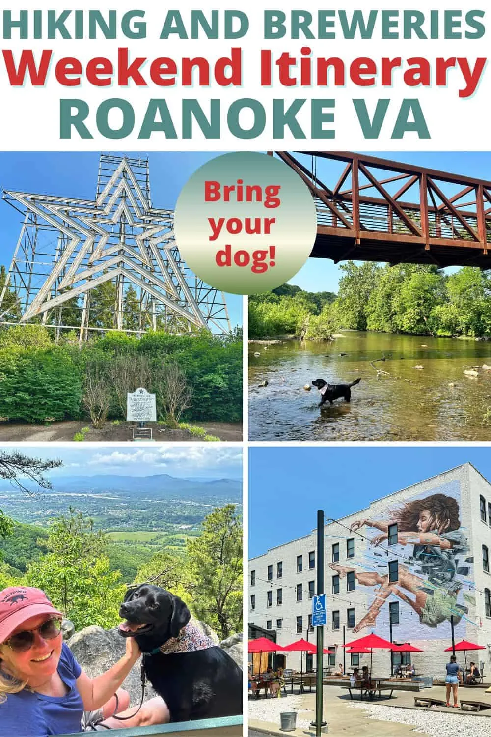Exploring the Blue Ridge Parkway? Be sure to spend at least a weekend in Roanoke VA, where you'll find fantastic dog-friendly patios, awesome craft breweries, and great hiking trails. 