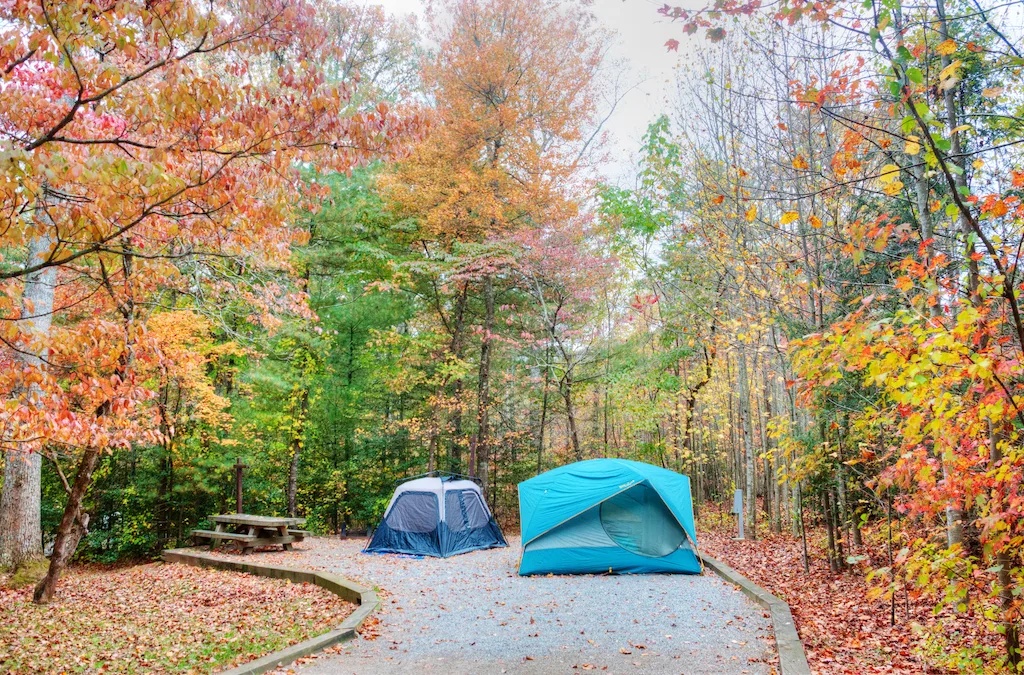 Blue Ridge Parkway camping in the fall