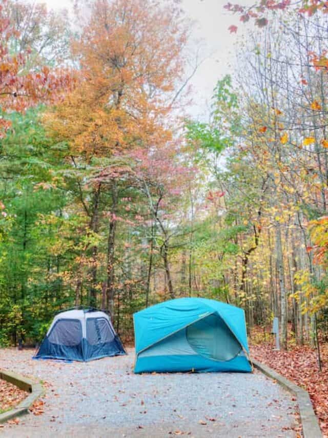 Discover the Best Fall Camping in New England