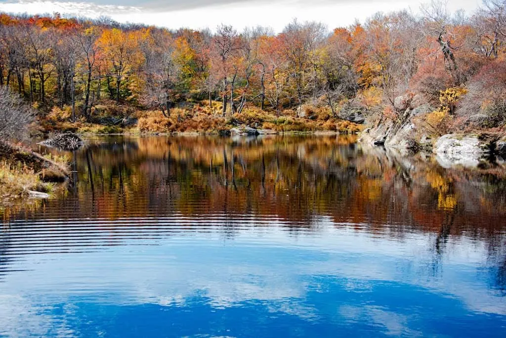 A pond surrounded by beautiful fall foliage in the Berkshires of Massachusetts.
