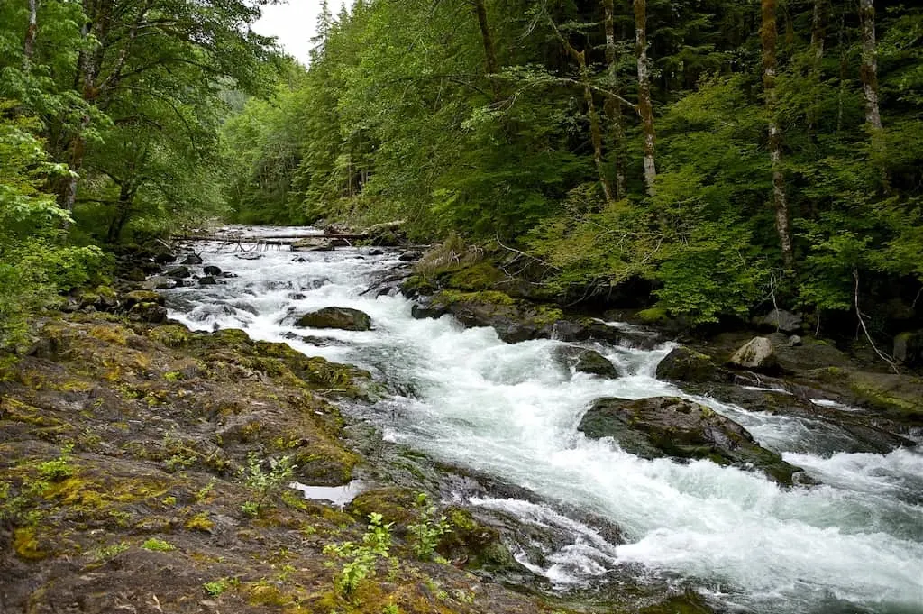 The beautiful Hoh River in Olympic National Park.