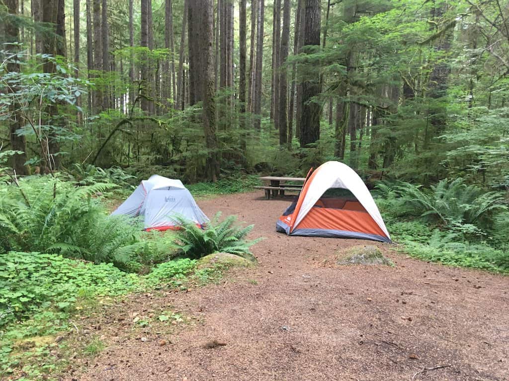 Camping in Olympc National Park — Hoh Rain Forest.