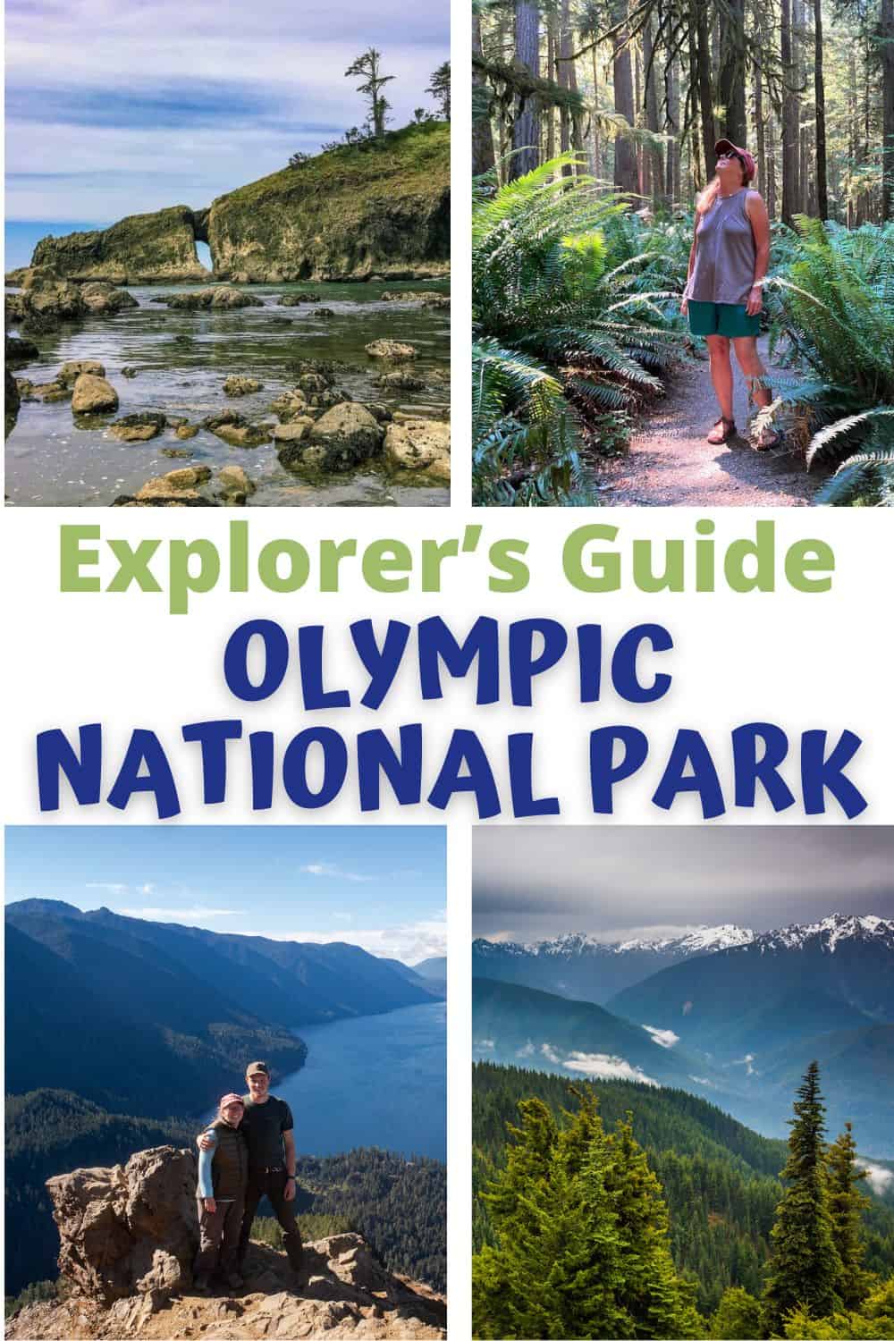 Beaches, mountains, and waterfalls in Olympic National Park.