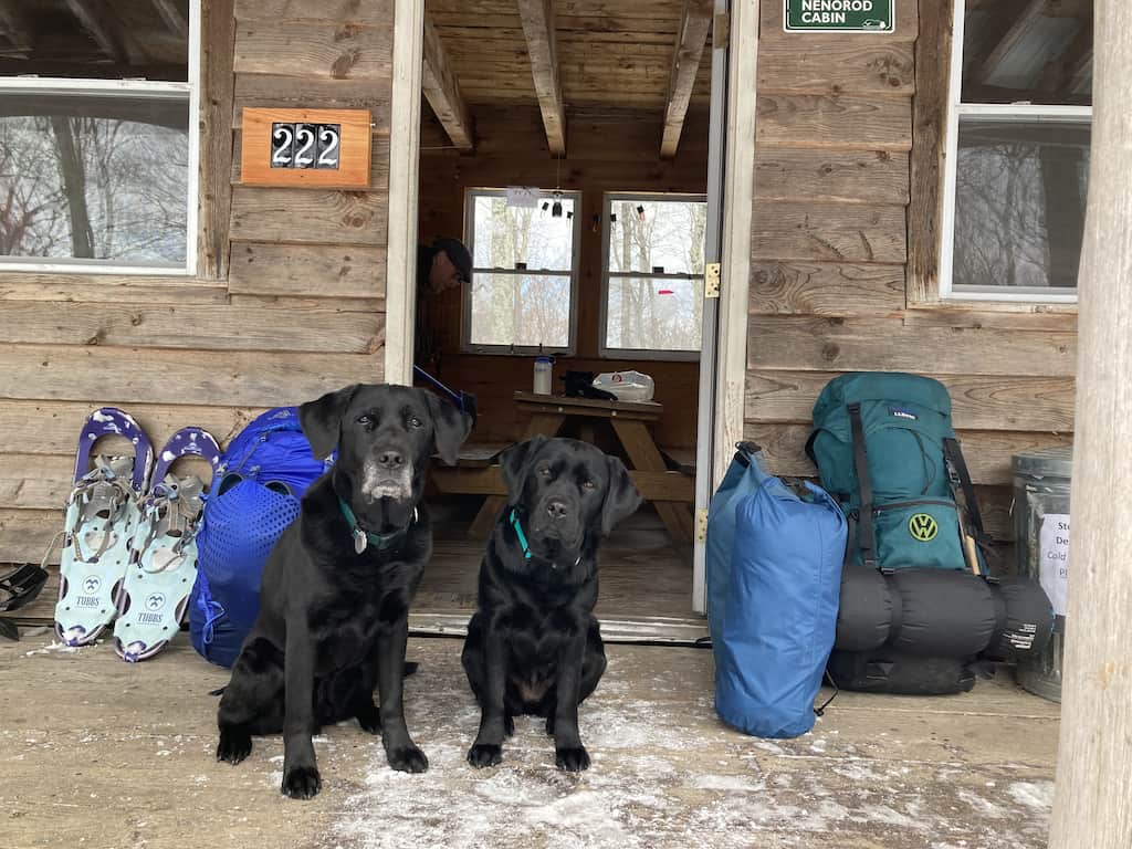 Two black labs sitting on the porch of a cabin surrounded by camping gear. 