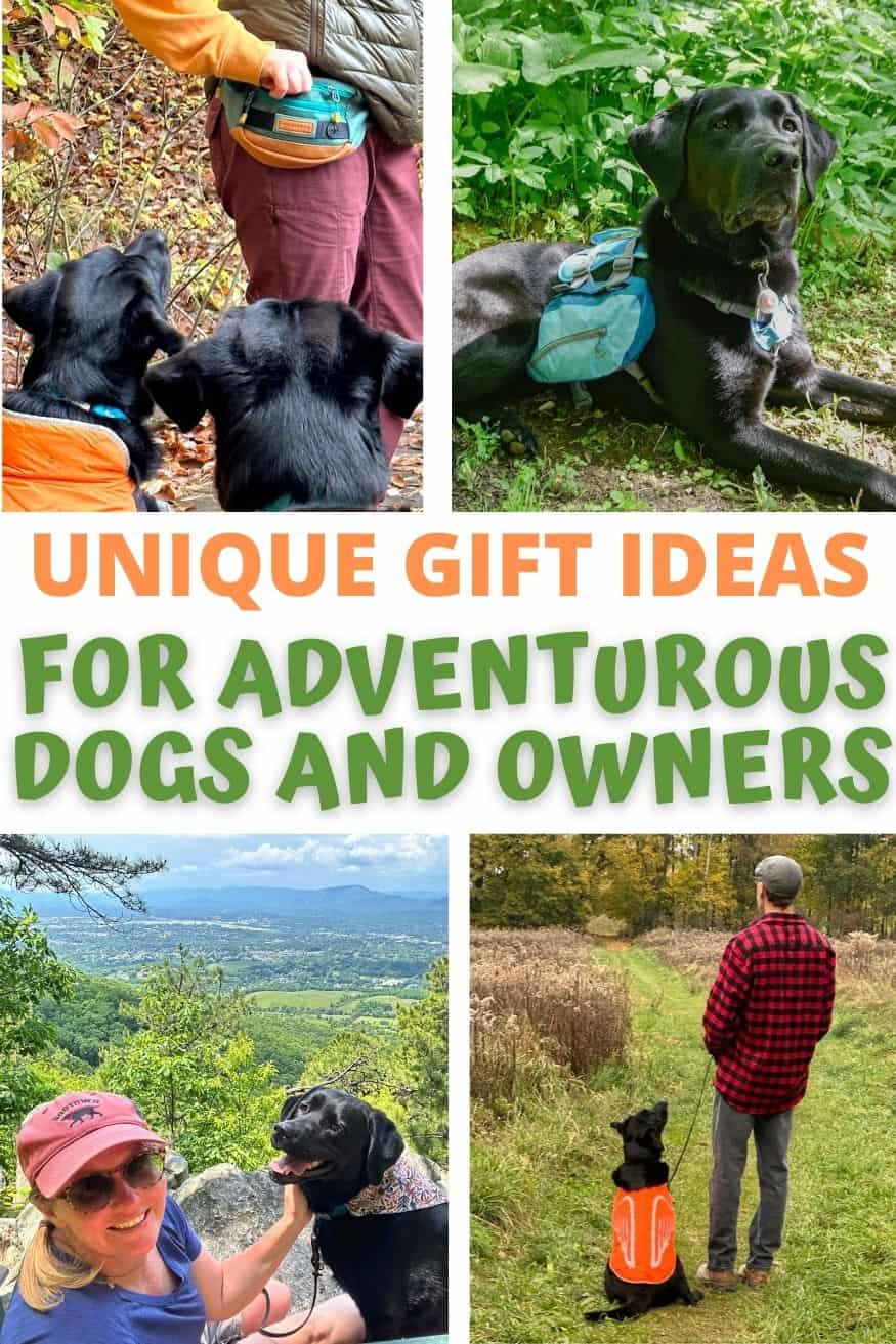 A collage of photos featuring gifts for hikers with dogs. 
