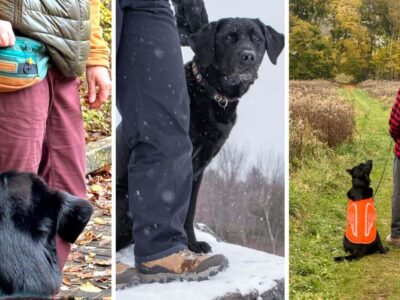 Perfect Gifts for Hikers with Dogs (and Dogs Who Hike): 2024 Edition