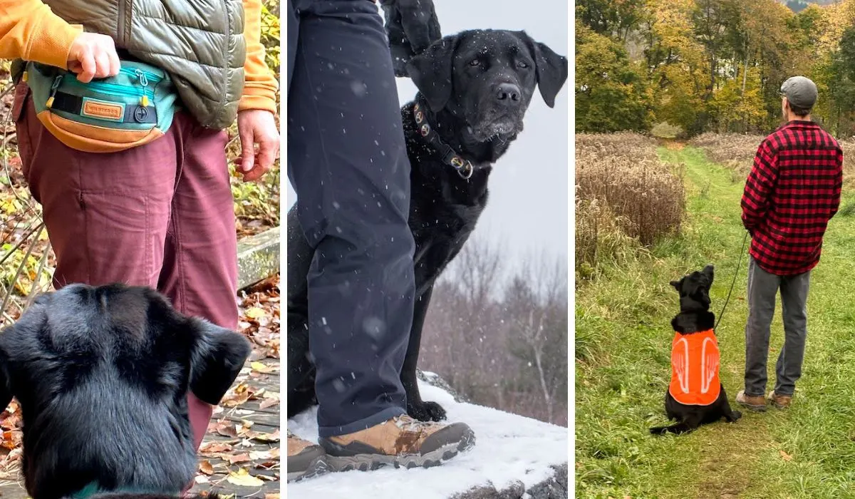 collage of gifts for hikers with dogs