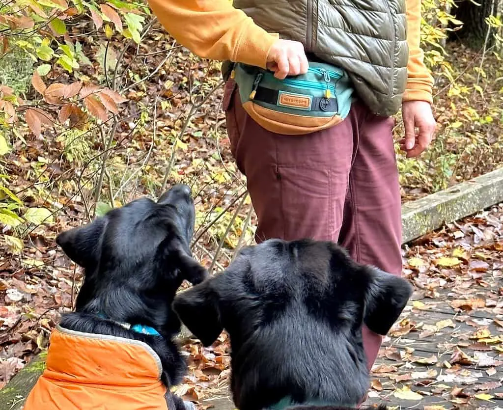 Tara feeding two dogs treats from a Wilderdog treat pouch.