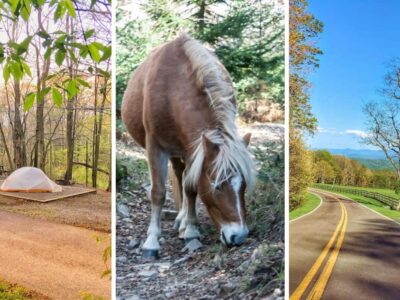 Grayson Highlands State Park: Wild Ponies, Gorgeous Views, and Extensive Trails in Virginia