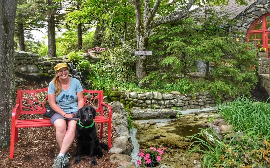 the blowing rock with dogs