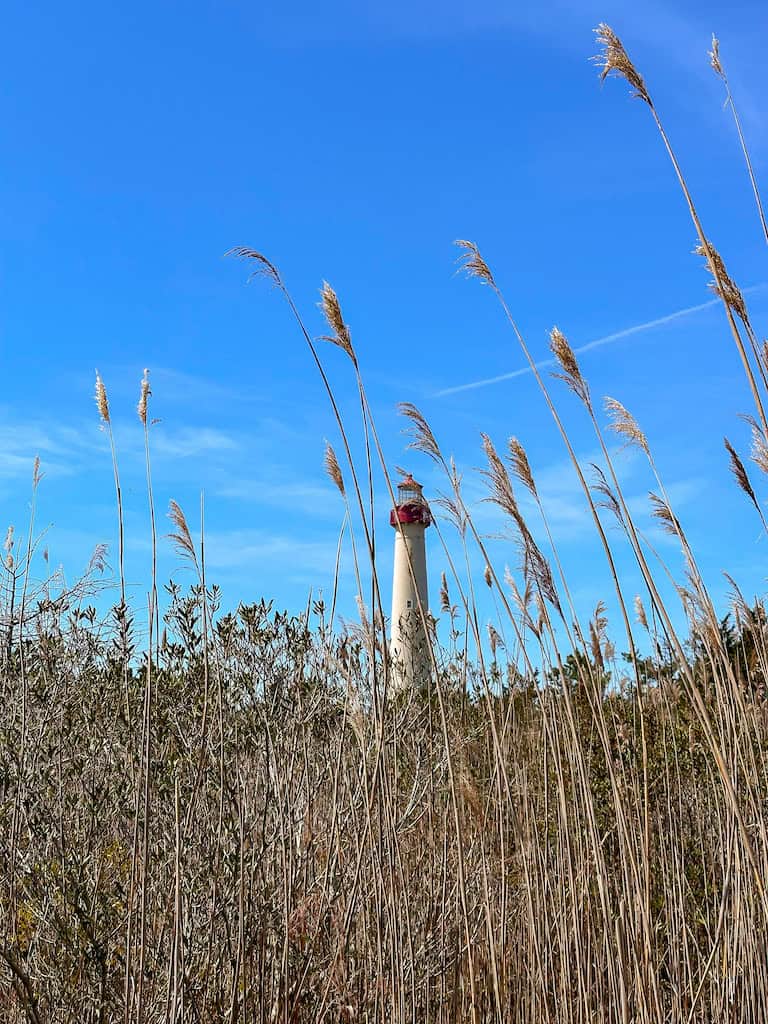 The Cape May Lighthouse.