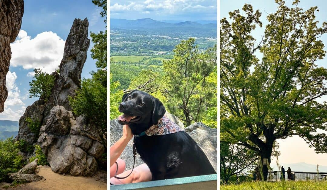 Incredible Hikes Near Roanoke Virginia