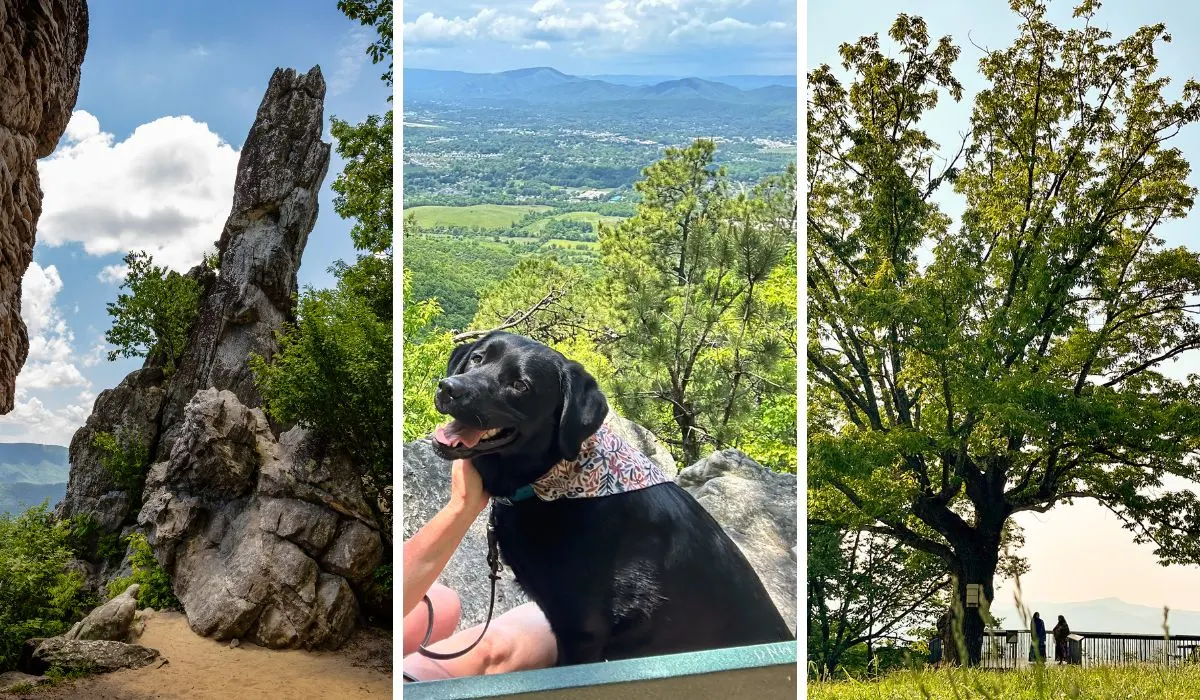 collage of phofos featuring hikes near roanoke.