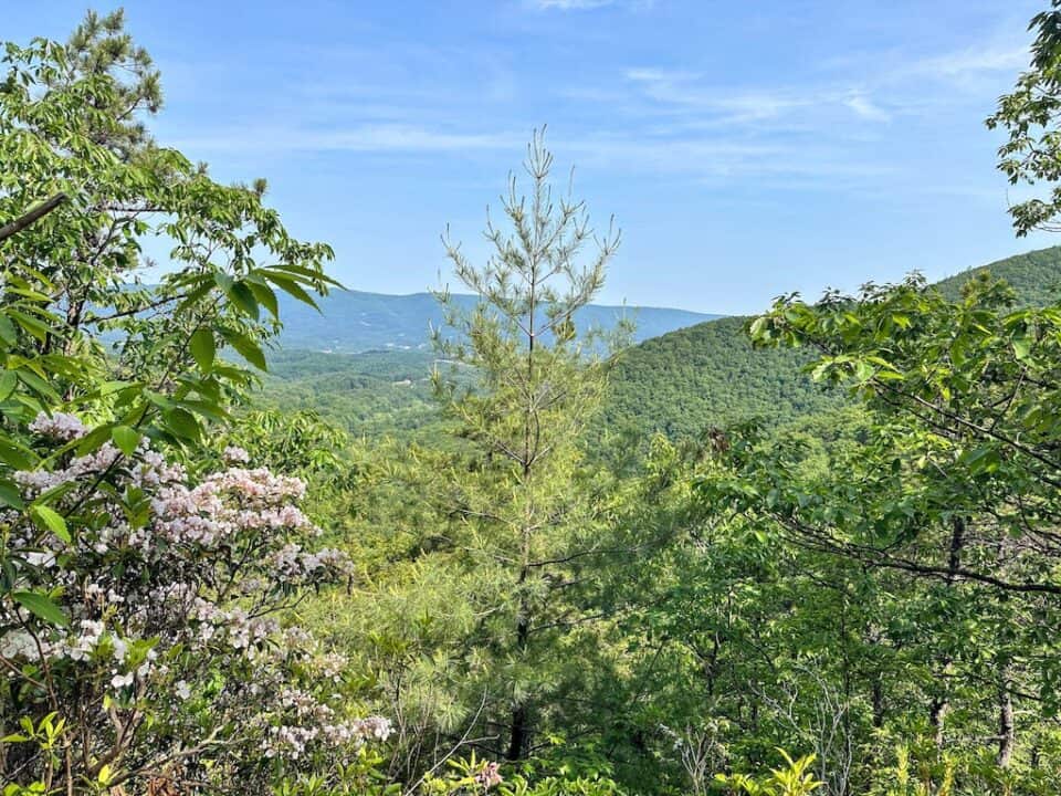 Incredible Hikes Near Roanoke Virginia