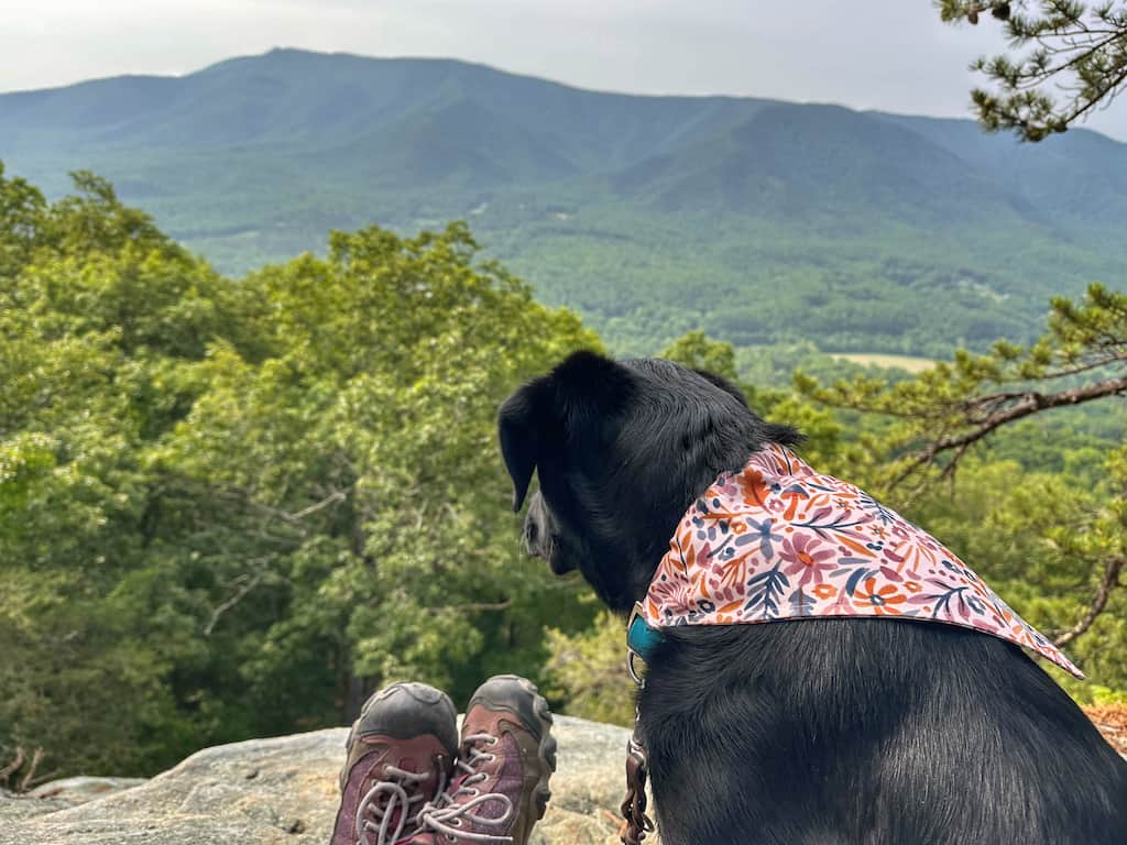 Malinda enjoying the view from Sawtooth Ridge near Roanoke.