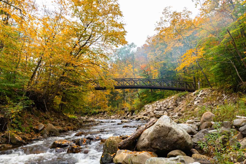 An Appalachian Trail footbridge in Vermont. 