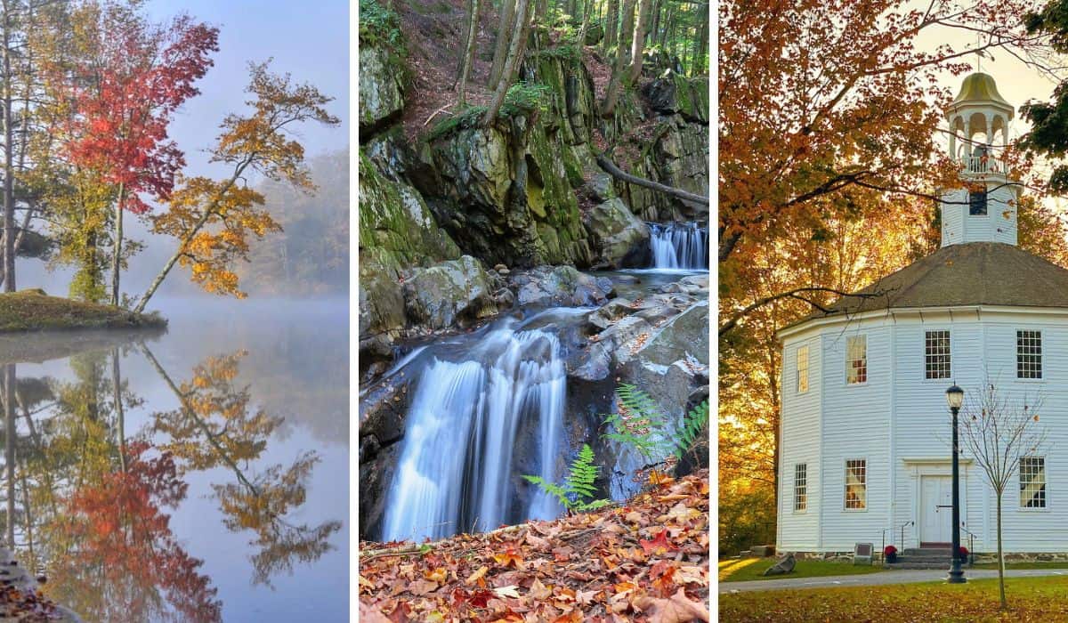 A collage of fall foliage photos. 