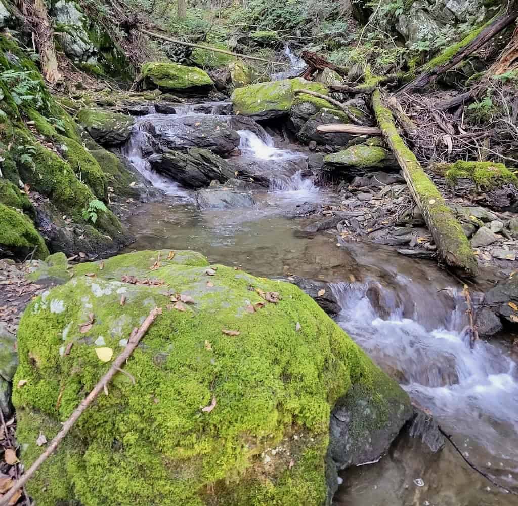 Stevens Glen is full of mossy rocks and tiny cascades. 