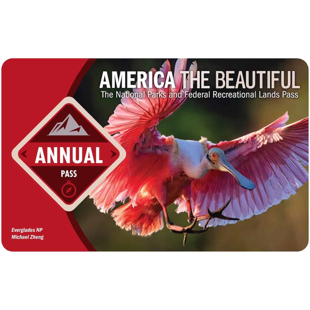 21 Unique Camping Gifts for Outdoor Lovers: 2025 Edition 2 america the beautiful