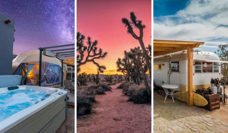 11 Epic Spots to Glamp Near Joshua Tree National Park