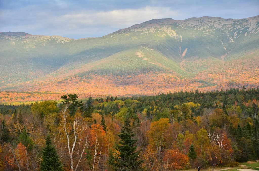 National Forest Week 2025: A Celebration of Where We Come Alive 4 Fall in White Mountain National Forest. Photo credit: US Forest Service.