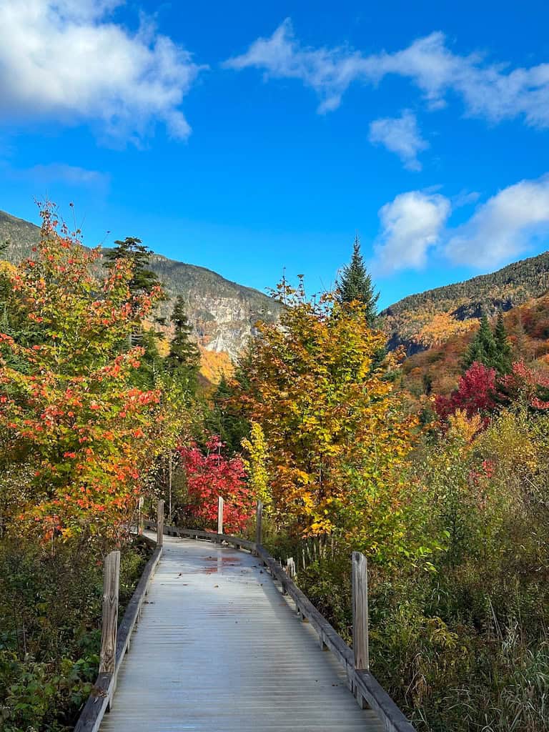 The Barnes Camp Boardwalk in Smuggler's Notch.