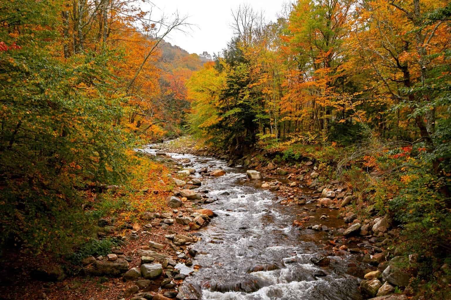 A river running through the forest in Vermont in the fall. 