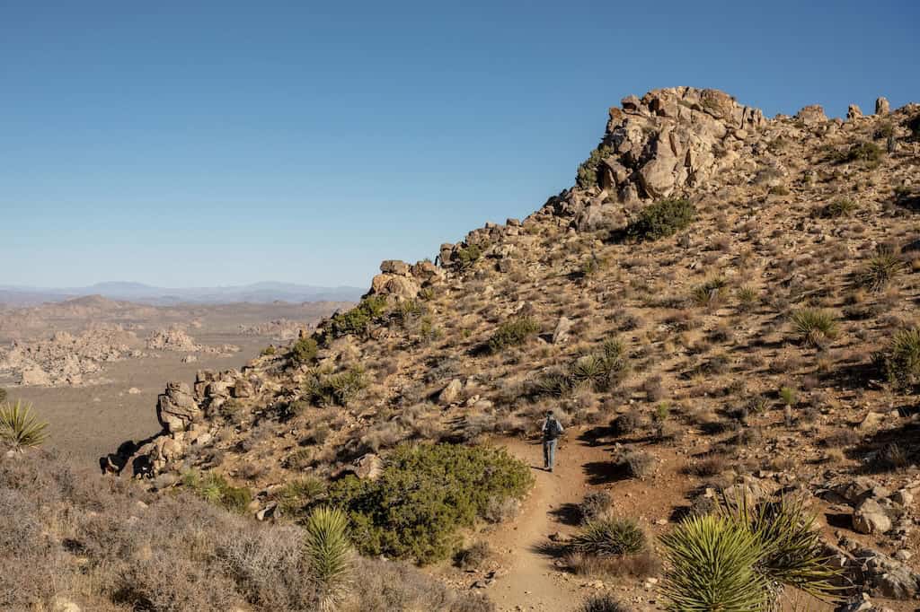 Ryan Mountain Trail.
