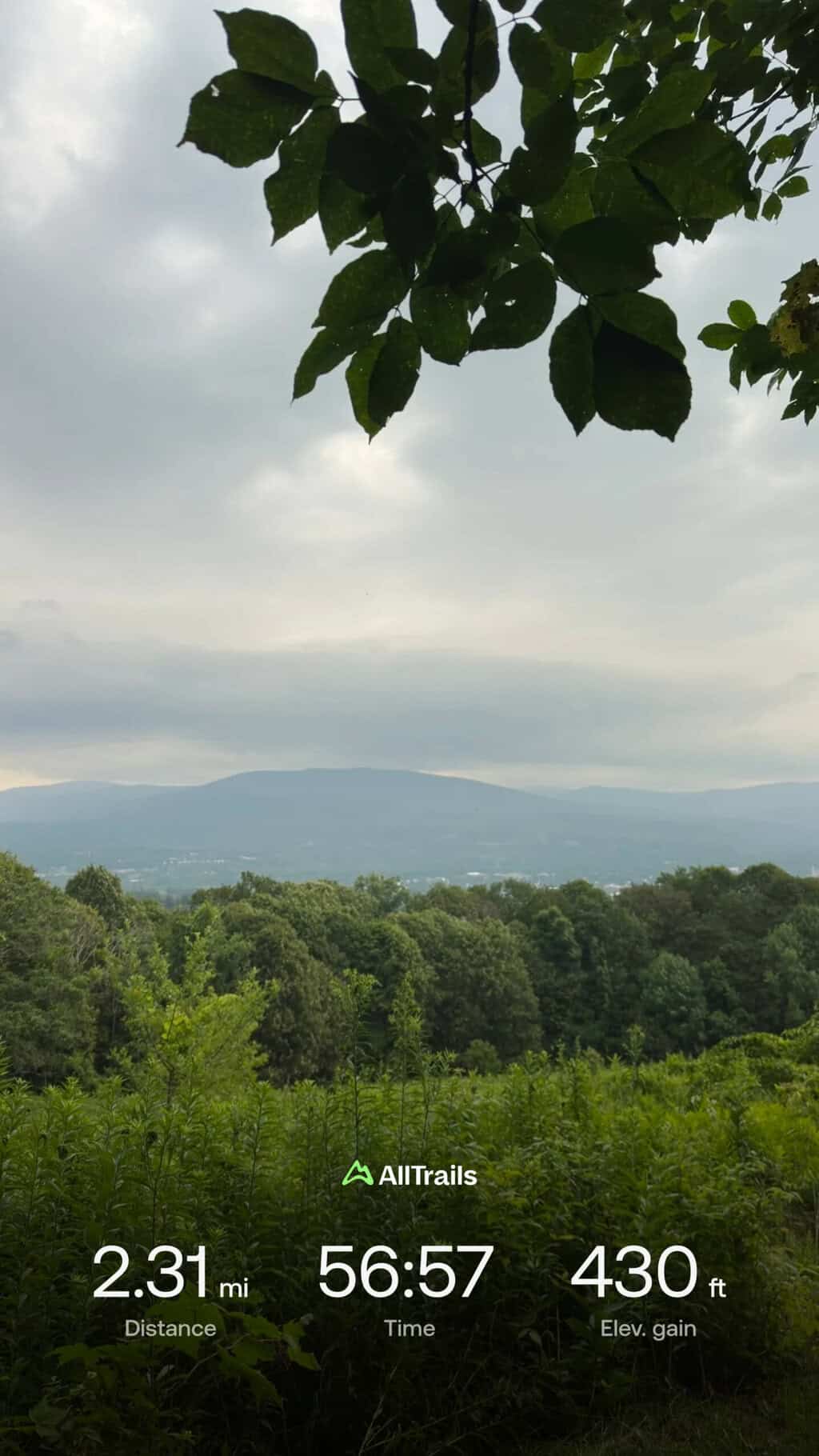 enjoying a foggy view on a recent hike in the Green Mountains. 