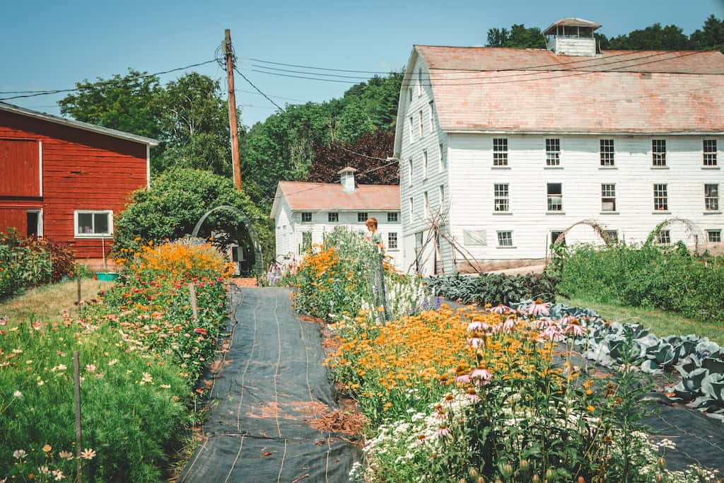 The flower farm and barns at Gardenworks Farm in Salem, New York. 